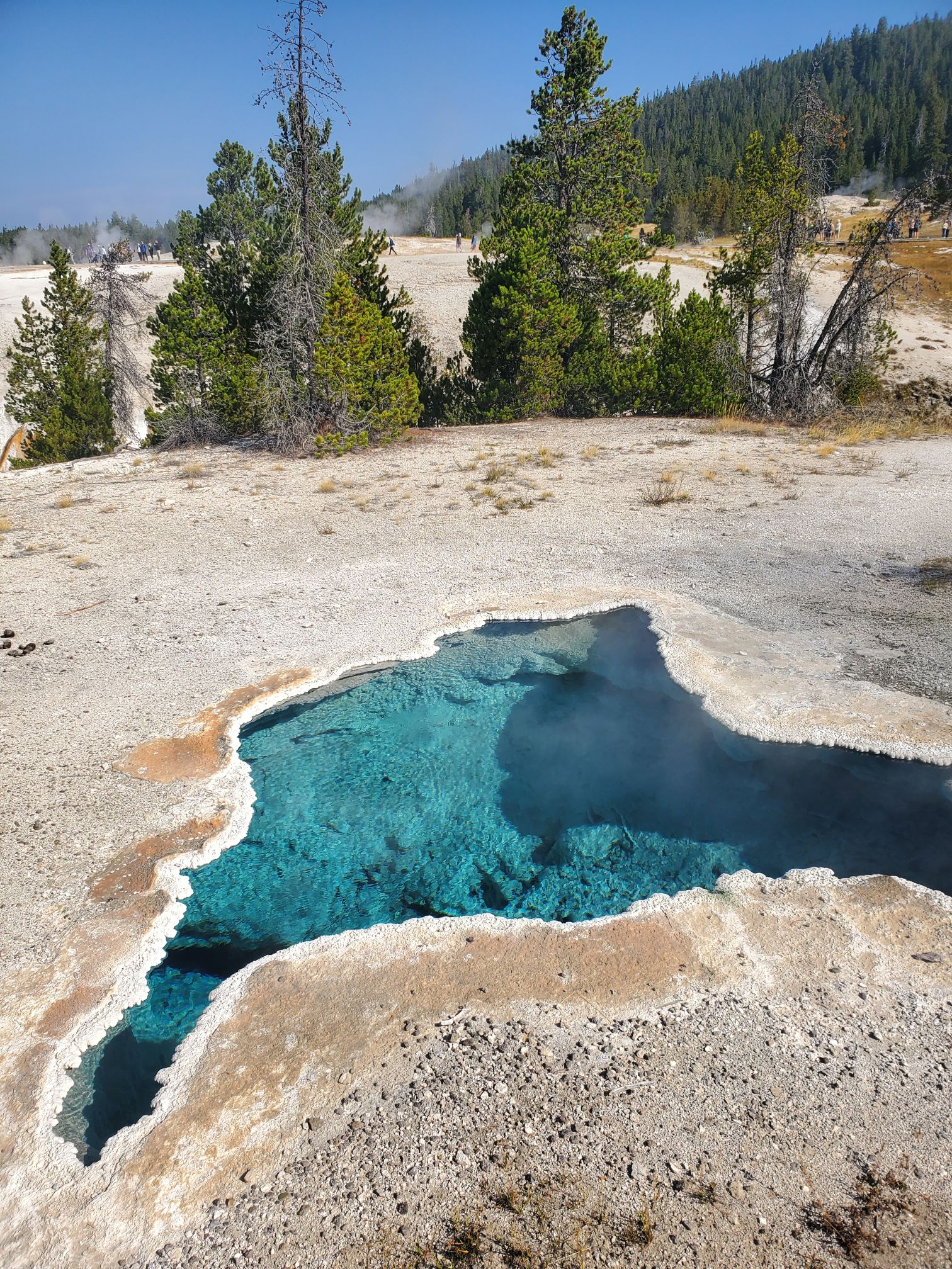 20250905_103838890606560695107442