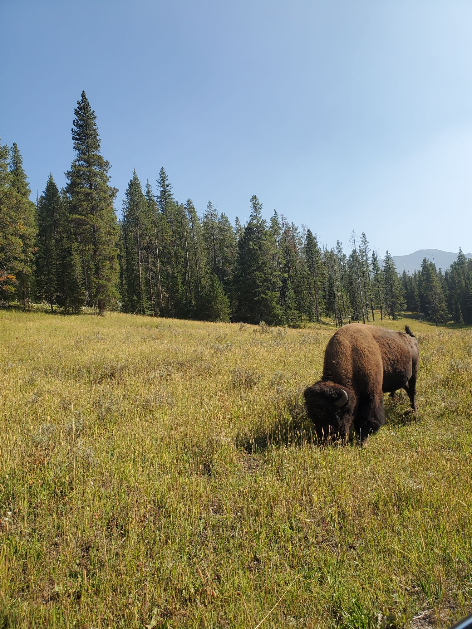 20250905_1604169063971266127831386