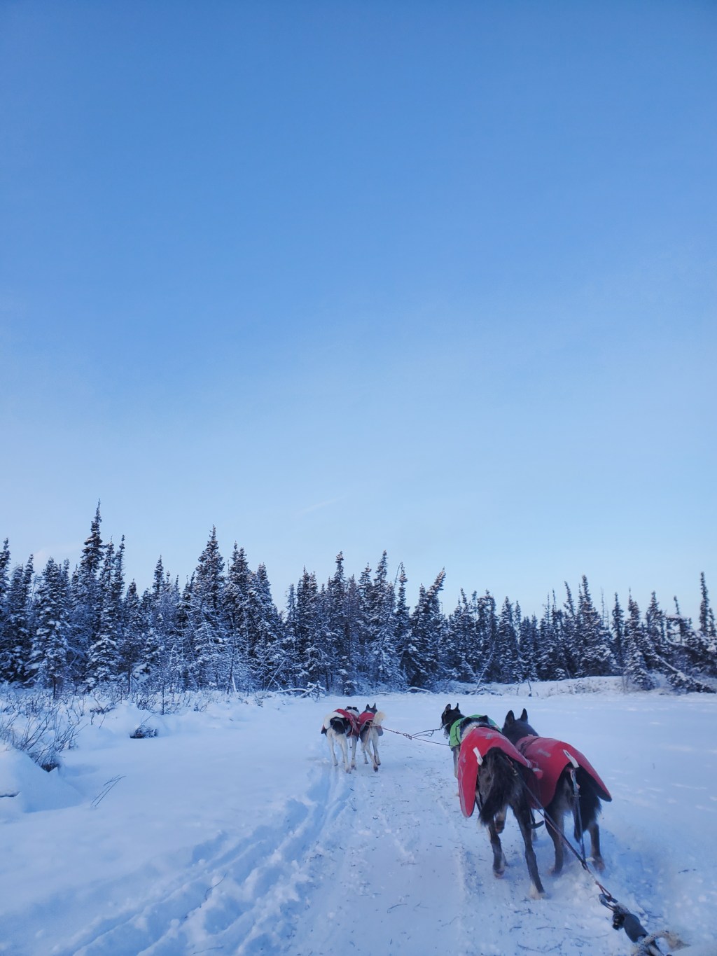 Unforgettable Aurora Winter Escape: Why Visit&nbsp;Yellowknife